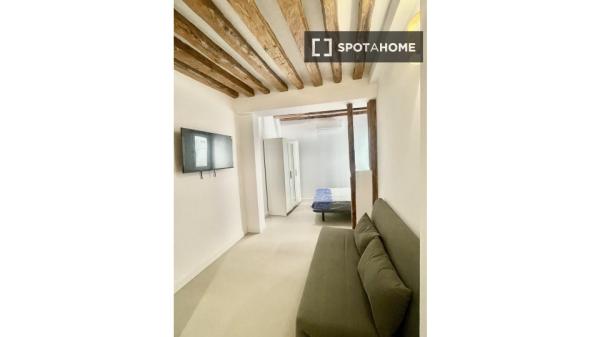 Estudio en alquiler en C. de Postas, Madrid thumbnail 1