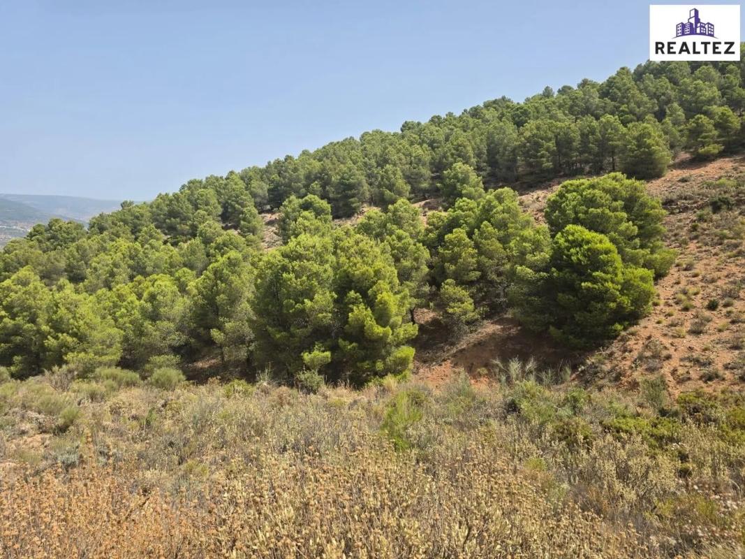 Działka na sprzedaż w Alcolea, Almería photo 1