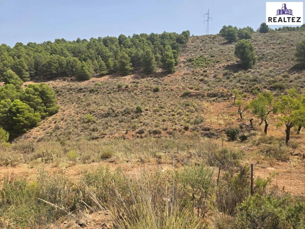 Działka na sprzedaż w Alcolea, Almería photo 2