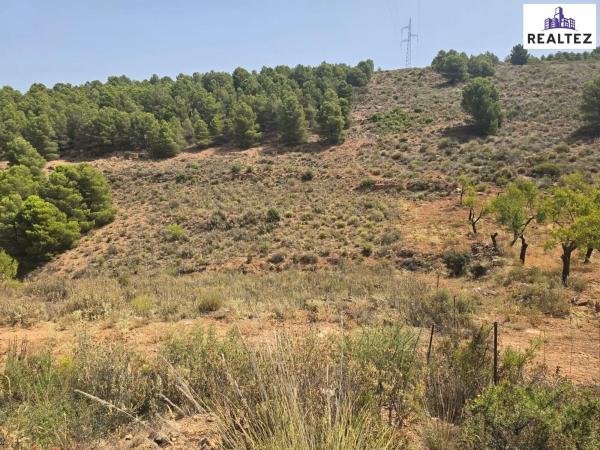 Terreno en Alcolea thumbnail 1