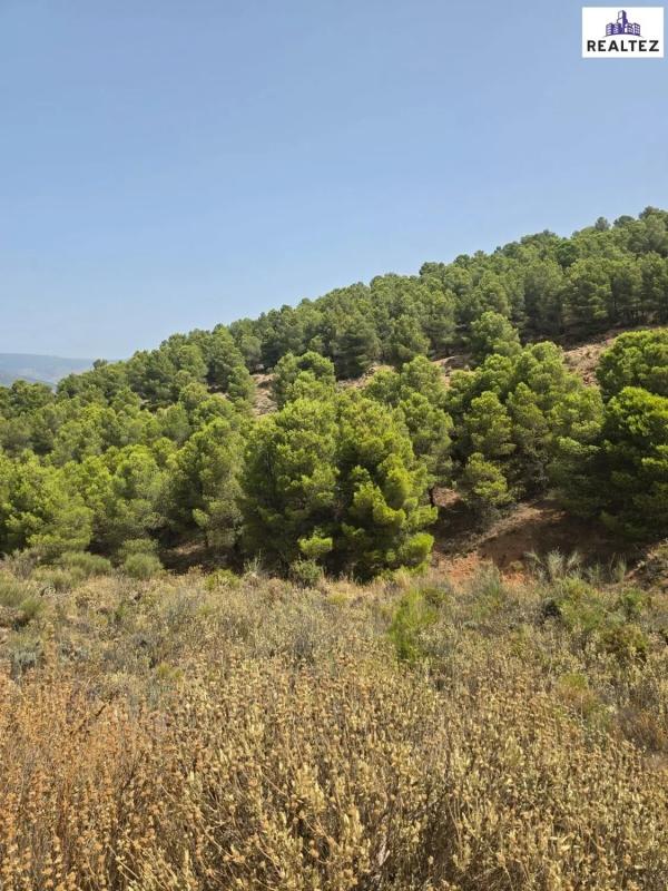 Działka na sprzedaż w Alcolea, Almería photo 4