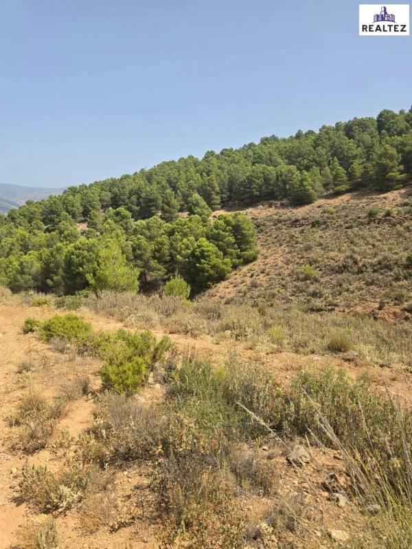 Działka na sprzedaż w Alcolea, Almería photo 5