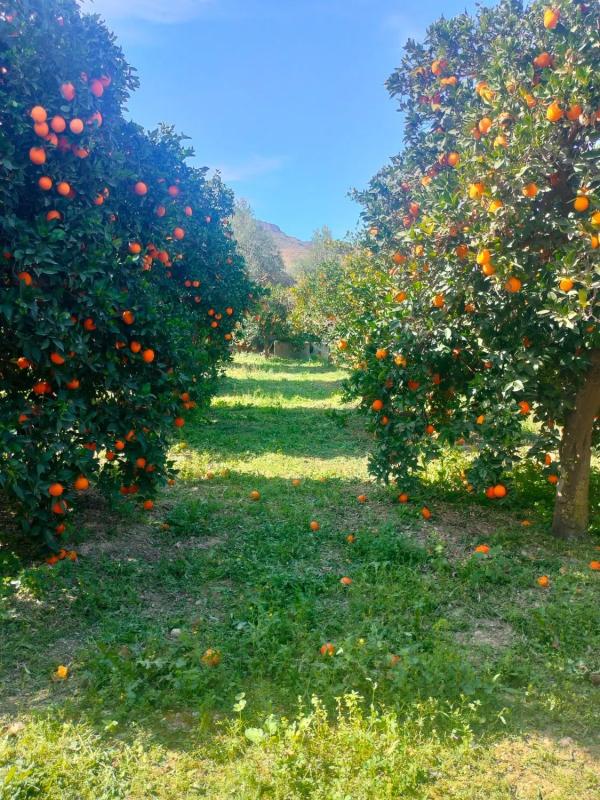 Działka na sprzedaż w Illar, Almería photo 4