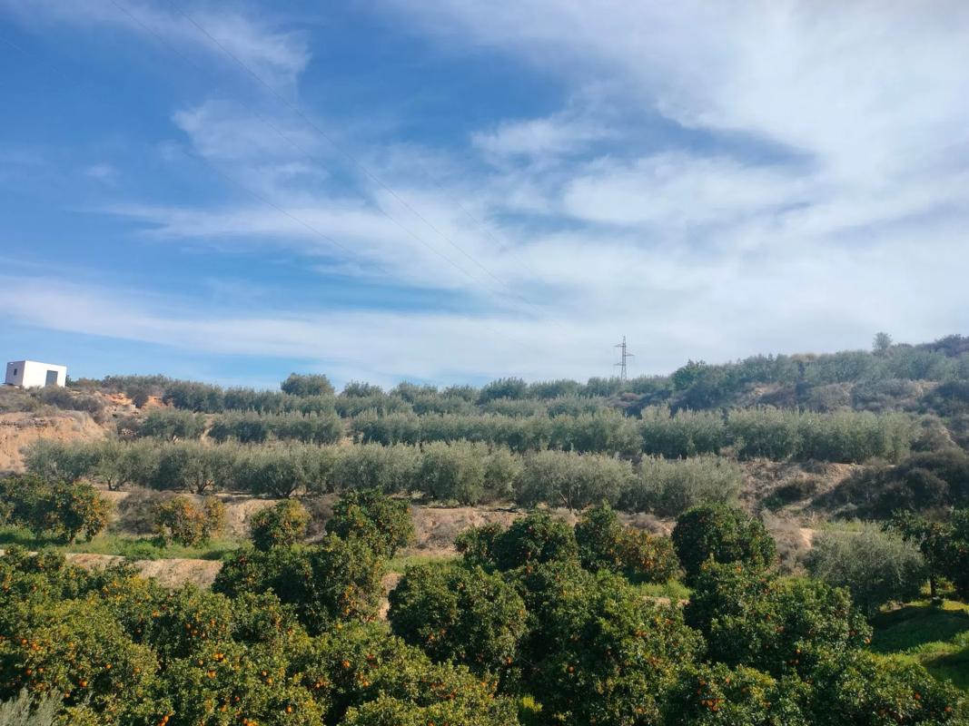 Działka na sprzedaż w Illar, Almería photo 5