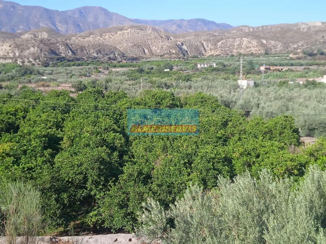 Działka na sprzedaż w Santa Cruz, Almería photo 5