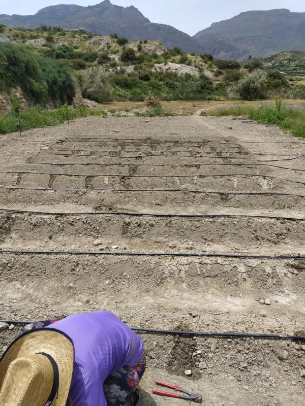Terreno en venta en Terque, Almería photo 3
