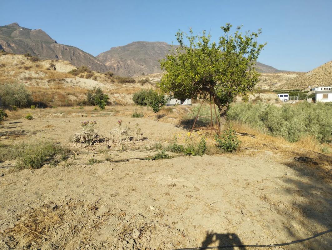 Terreno en venta en Terque, Almería photo 5