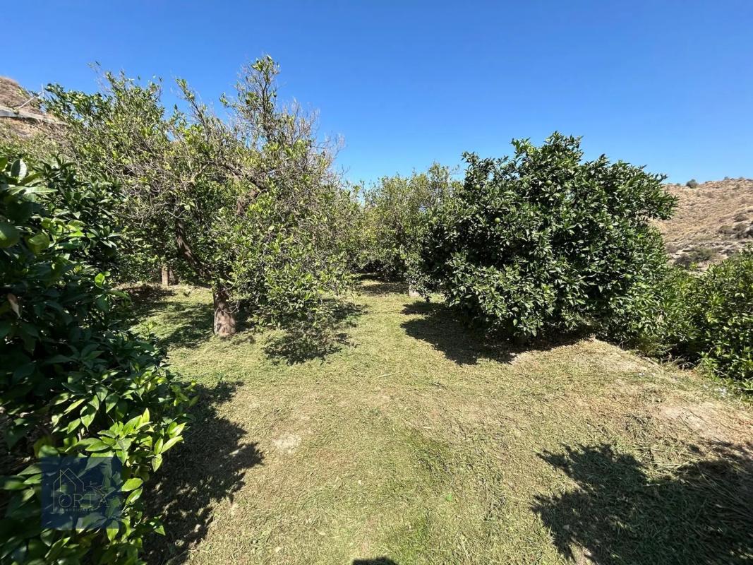 Terreno en venta en Santa Fe De Mondujar, Almería photo 3