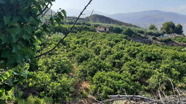 Terreno en Illar photo 2