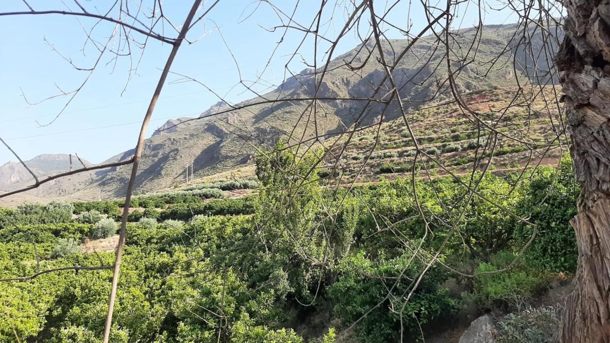 Działka na sprzedaż w Illar, Almería photo 3