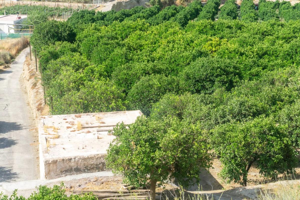 Участок земли на продажу в Терке, Алмерия photo 2