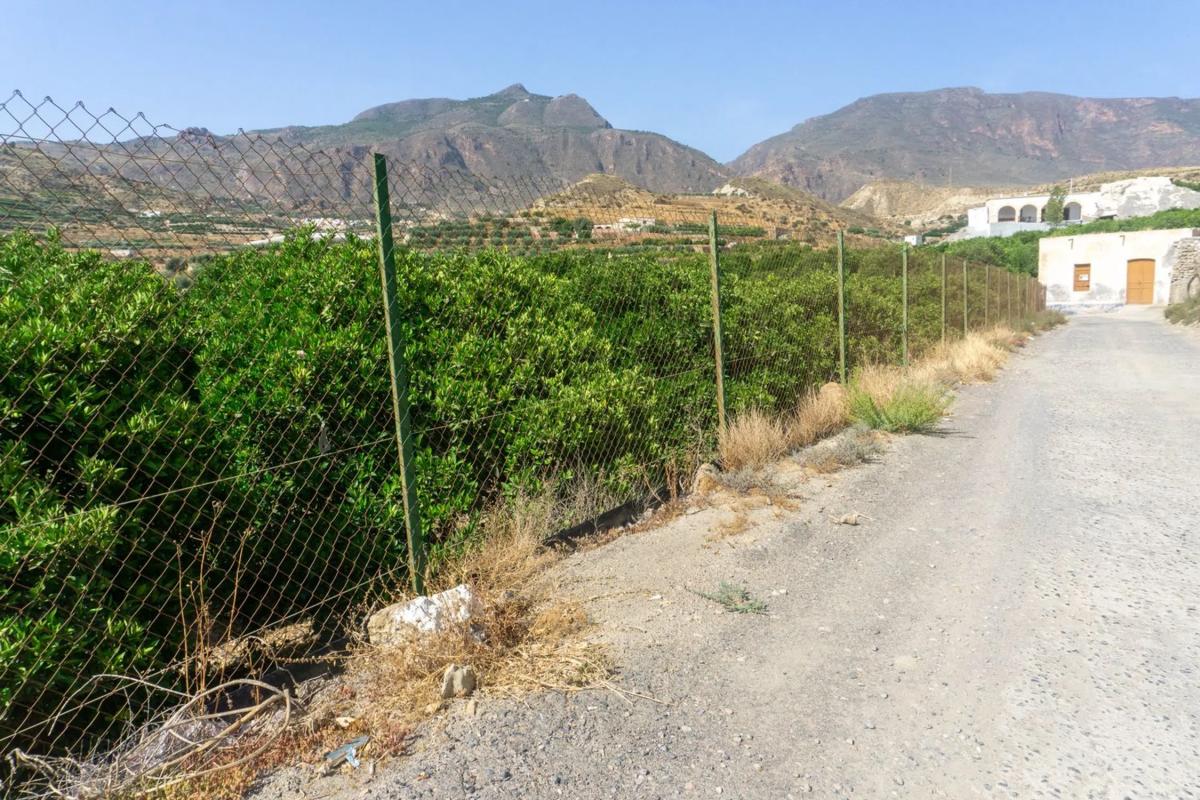 Участок земли на продажу в Терке, Алмерия photo 3