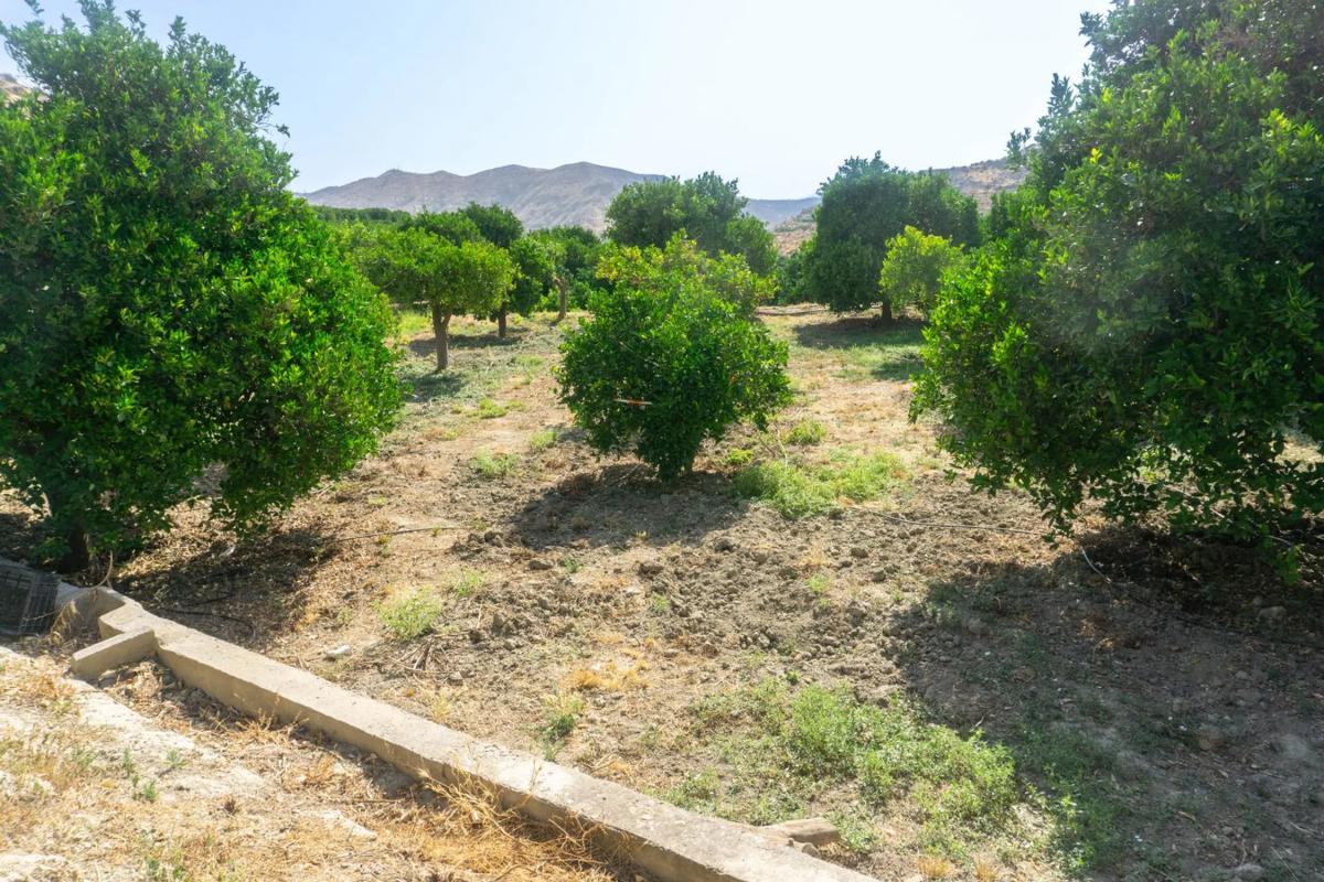 Участок земли на продажу в Терке, Алмерия photo 5