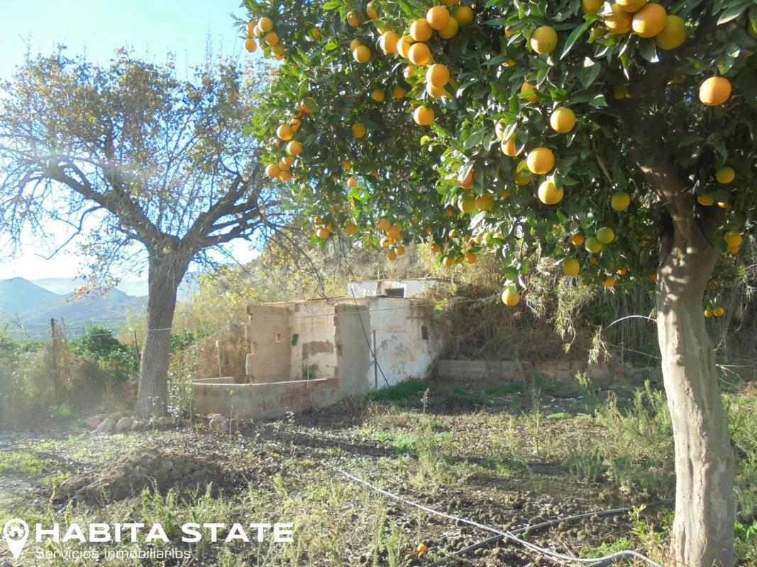 Terreno en venta en Terque, Almería photo 4
