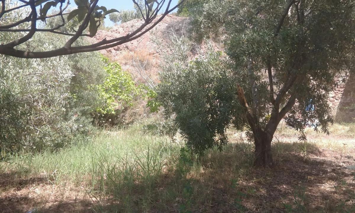 Działka na sprzedaż w Canjajar, Almería photo 1