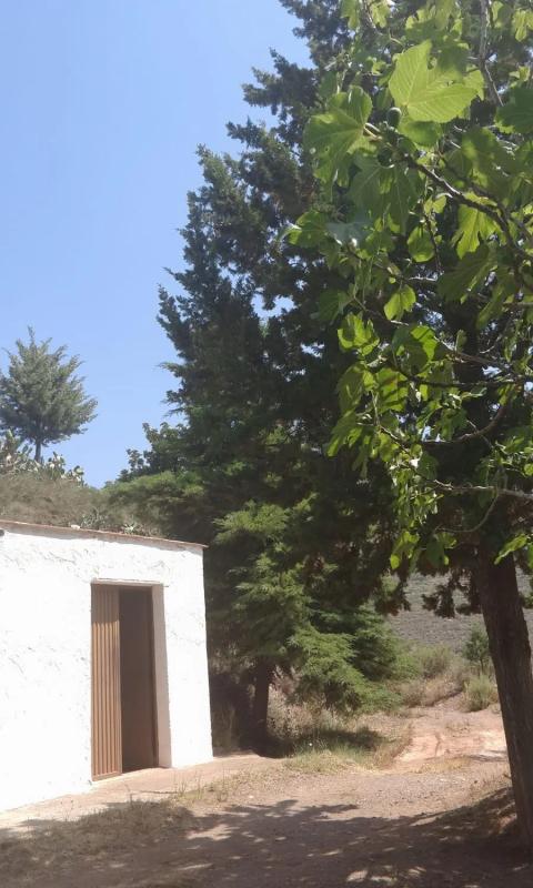 Działka na sprzedaż w Canjajar, Almería photo 3