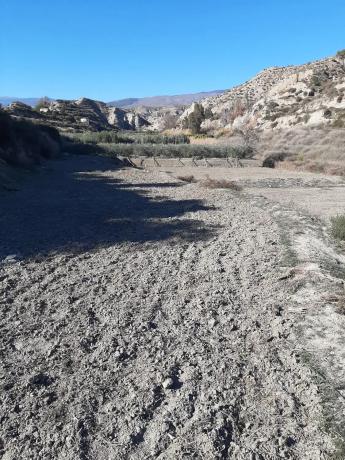 Terreno en Paraje la Olleta s/n thumbnail 1