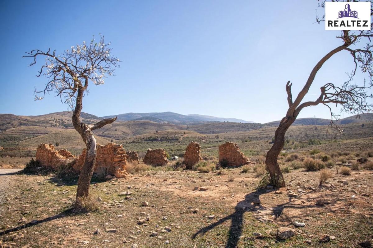 Terreno en venta en Alcolea, Almería photo 3