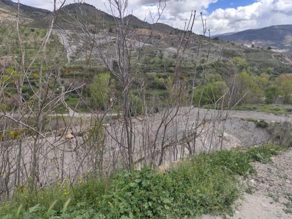 Terreno en Laujar de Andarax photo 3