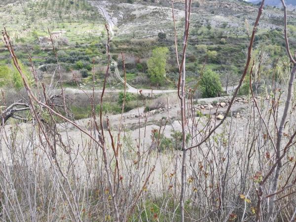 Terreno en Laujar de Andarax photo 4