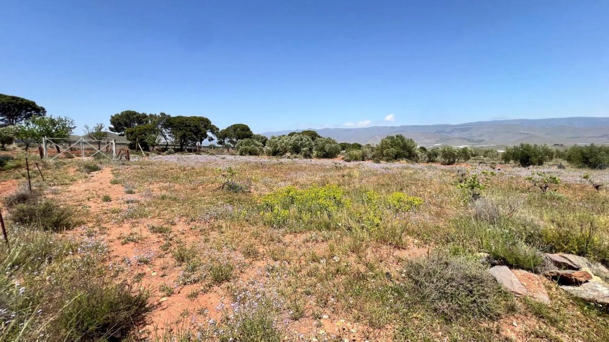 Działka na sprzedaż w Alboloduy, Almería photo 4