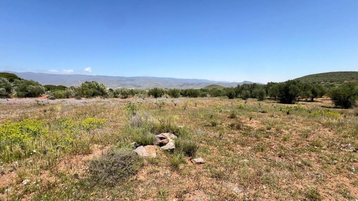 Działka na sprzedaż w Alboloduy, Almería photo 5