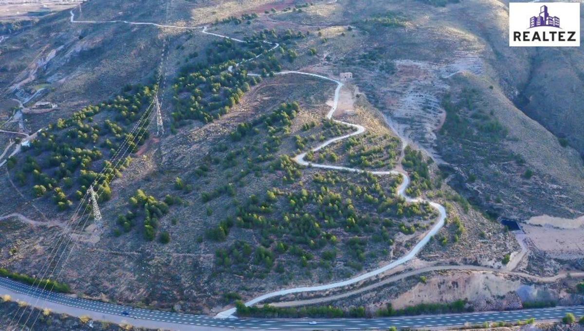 Land for sale in Alcolea, Almería photo 2