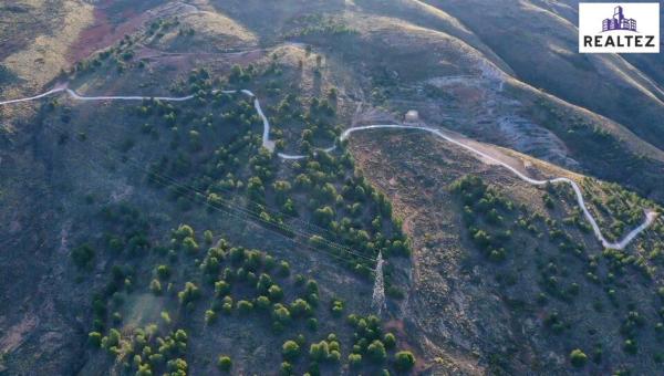 Terreno en Alcolea photo 4