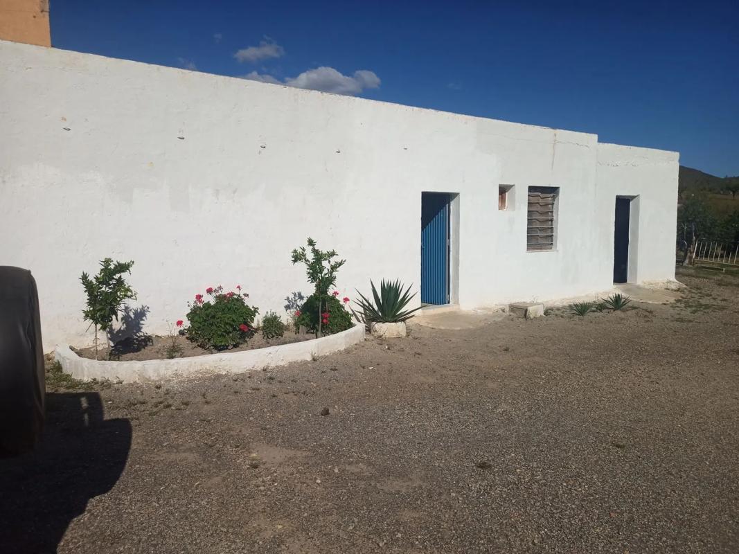 Terreno en venta en Alboloduy, Almería photo 1