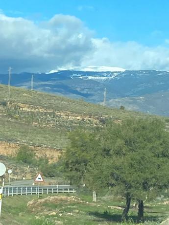 Terreno en calle la Rueda s/n thumbnail 1