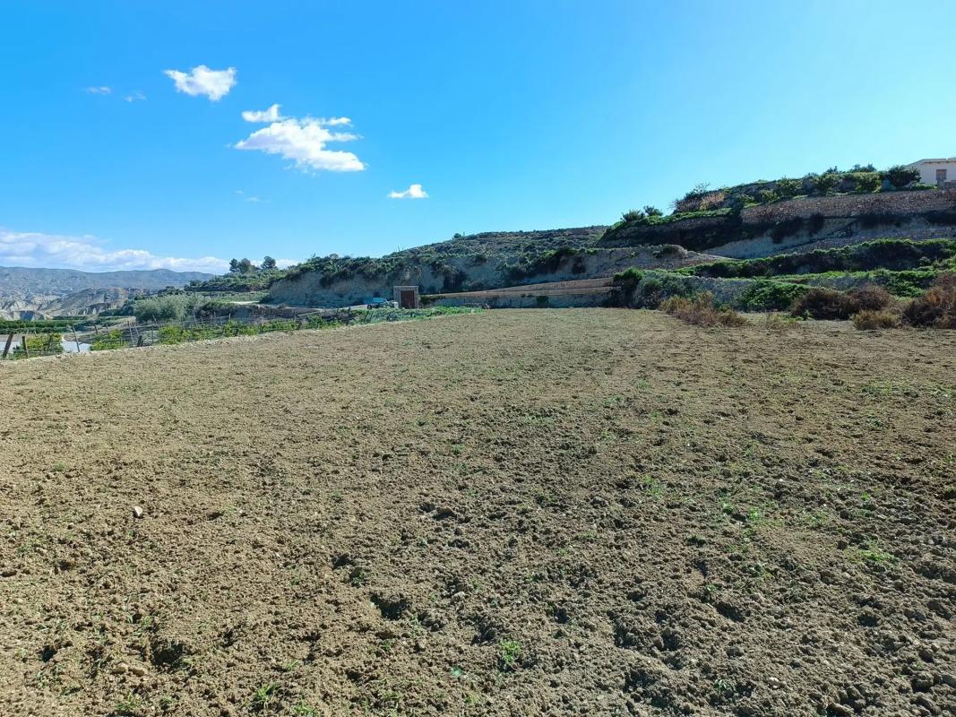 Land for sale in Huécija, Almería photo 3