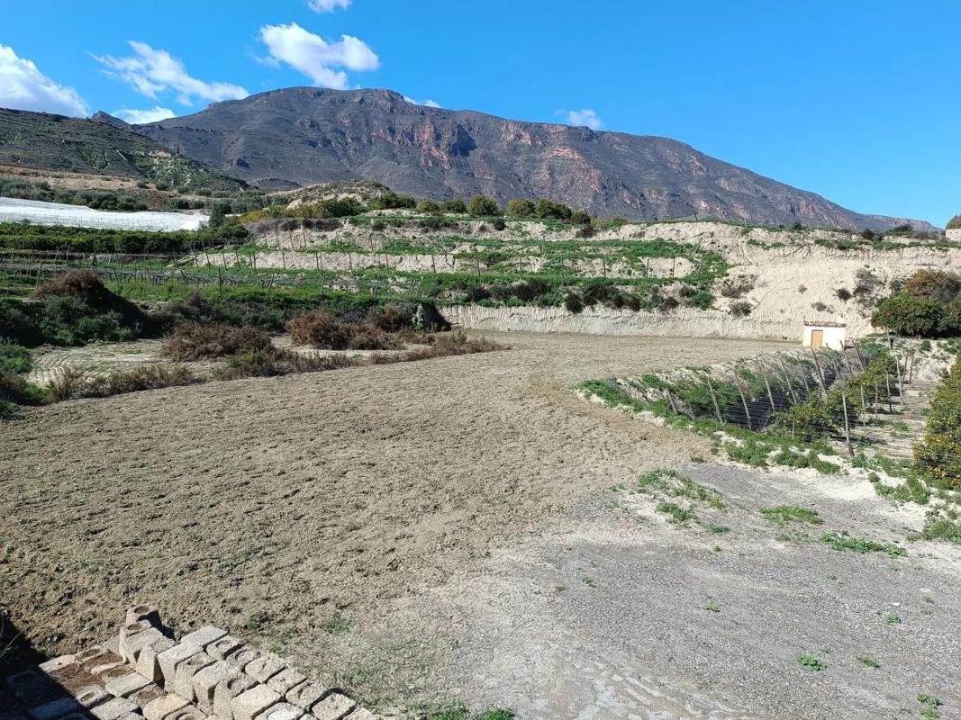 Land for sale in Huécija, Almería photo 4