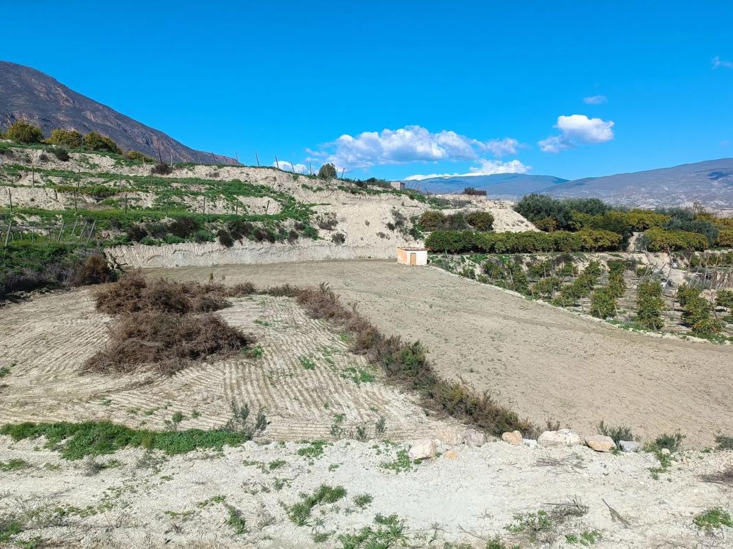 Land for sale in Huécija, Almería photo 5