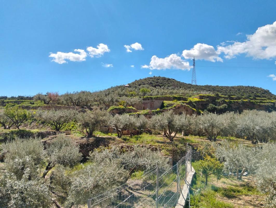 Działka na sprzedaż w Alhama de Almería, Almería photo 3