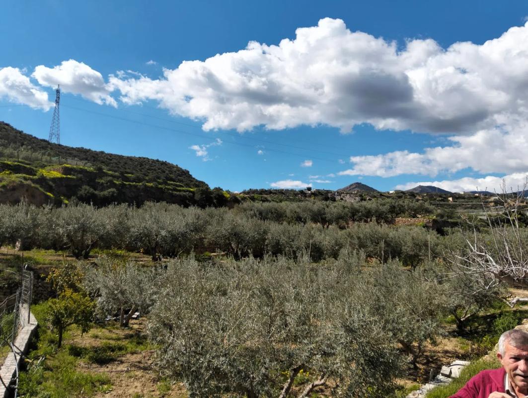 Działka na sprzedaż w Alhama de Almería, Almería photo 5