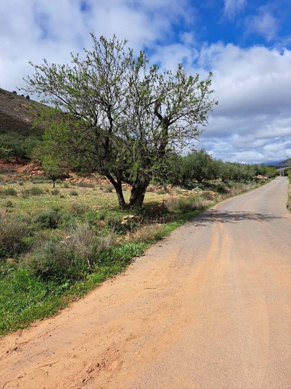 Działka na sprzedaż w Fondón, Almería photo 1