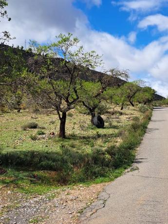 Terreno en camino de las Cartagenas s/n photo 3