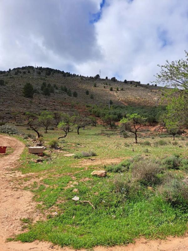 Działka na sprzedaż w Fondón, Almería photo 3