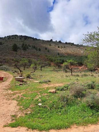 Terreno en camino de las Cartagenas s/n photo 3