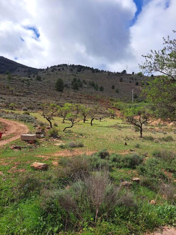 Działka na sprzedaż w Fondón, Almería photo 4