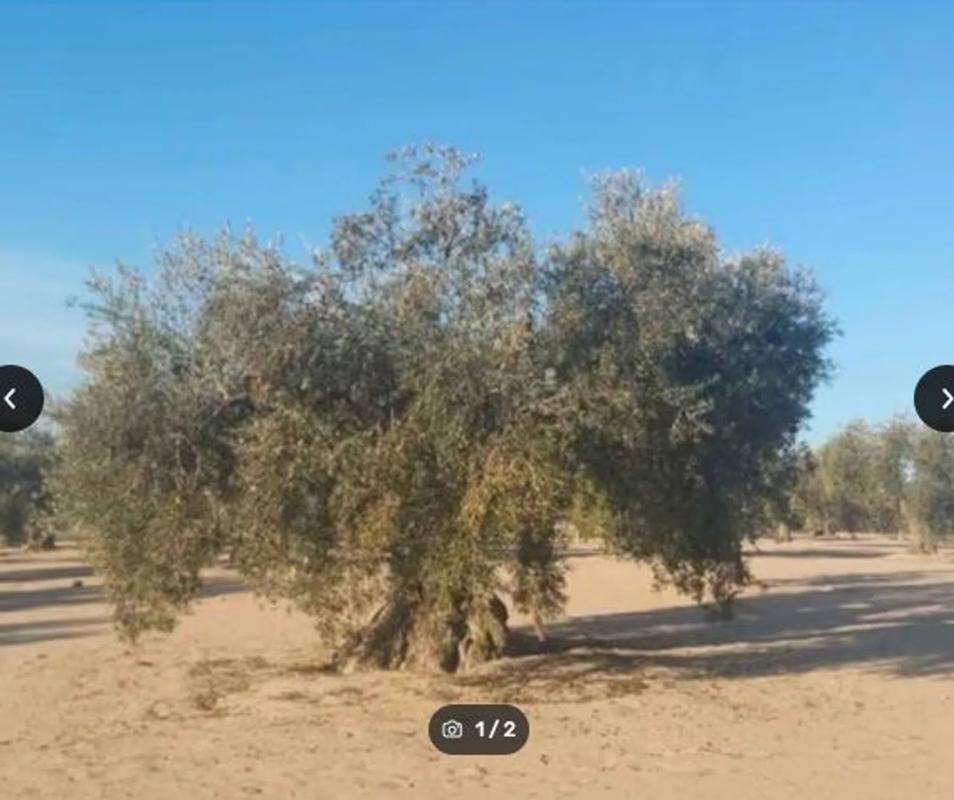 Terreno en venta en Fondón, Almería photo 1