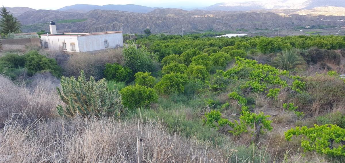 Działka na sprzedaż w Bentarique, Almería photo 5