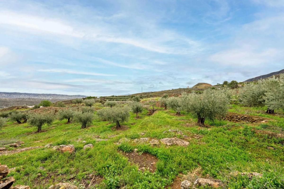 Działka na sprzedaż w Illar, Almería photo 3