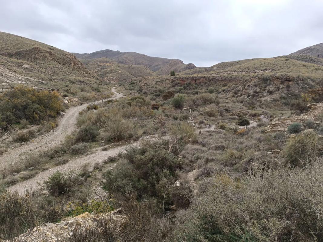 Terreno en venta en Gador, Almería photo 5