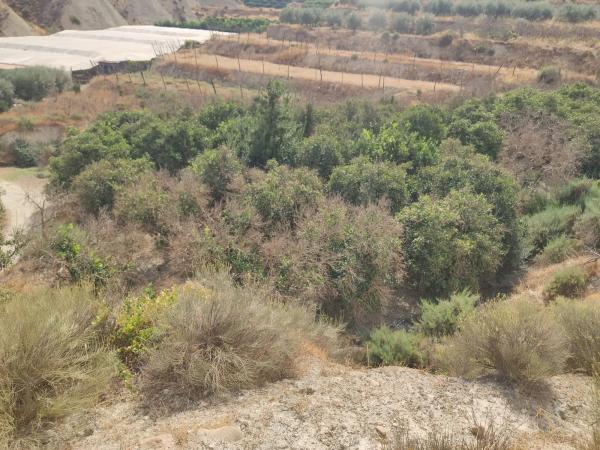 Terreno en Poligono 3 s/n photo 4