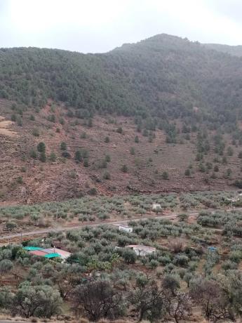 Terreno en Alberzal photo 1