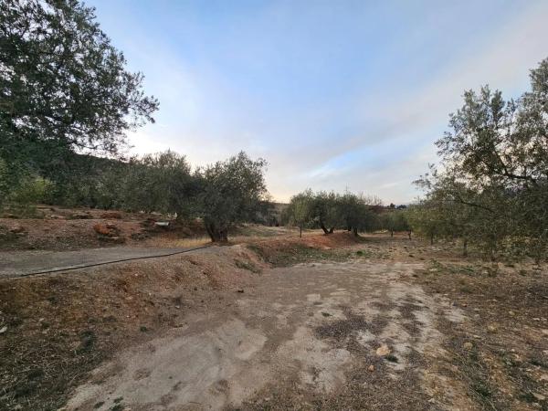 Terreno en Alberzal photo 2