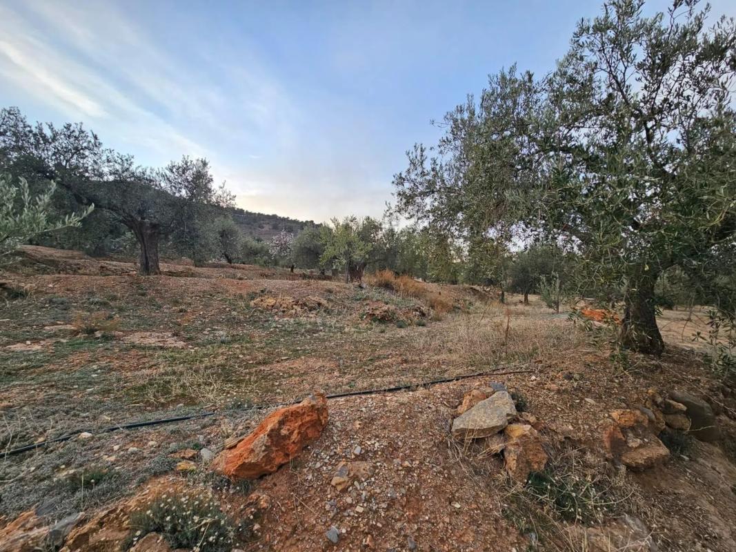 Terreno en venta en Fondón, Almería photo 3