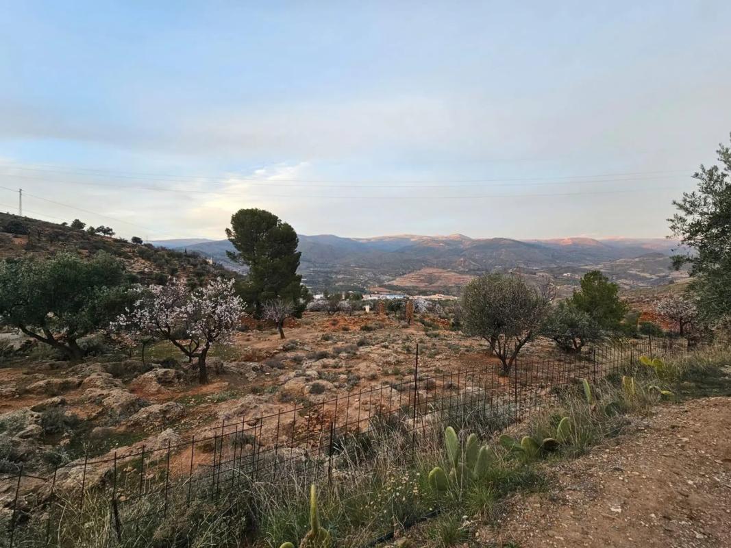 Terreno en venta en Fondón, Almería photo 4