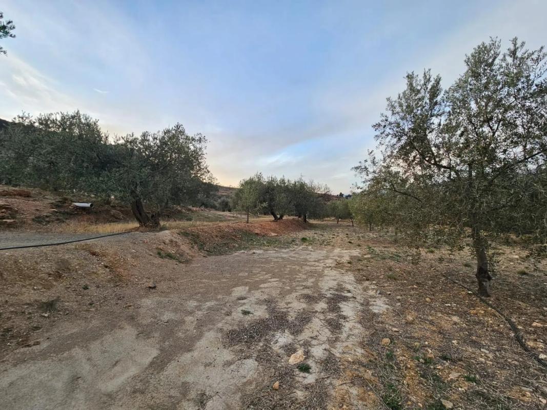 Terreno en venta en Fondón, Almería photo 5